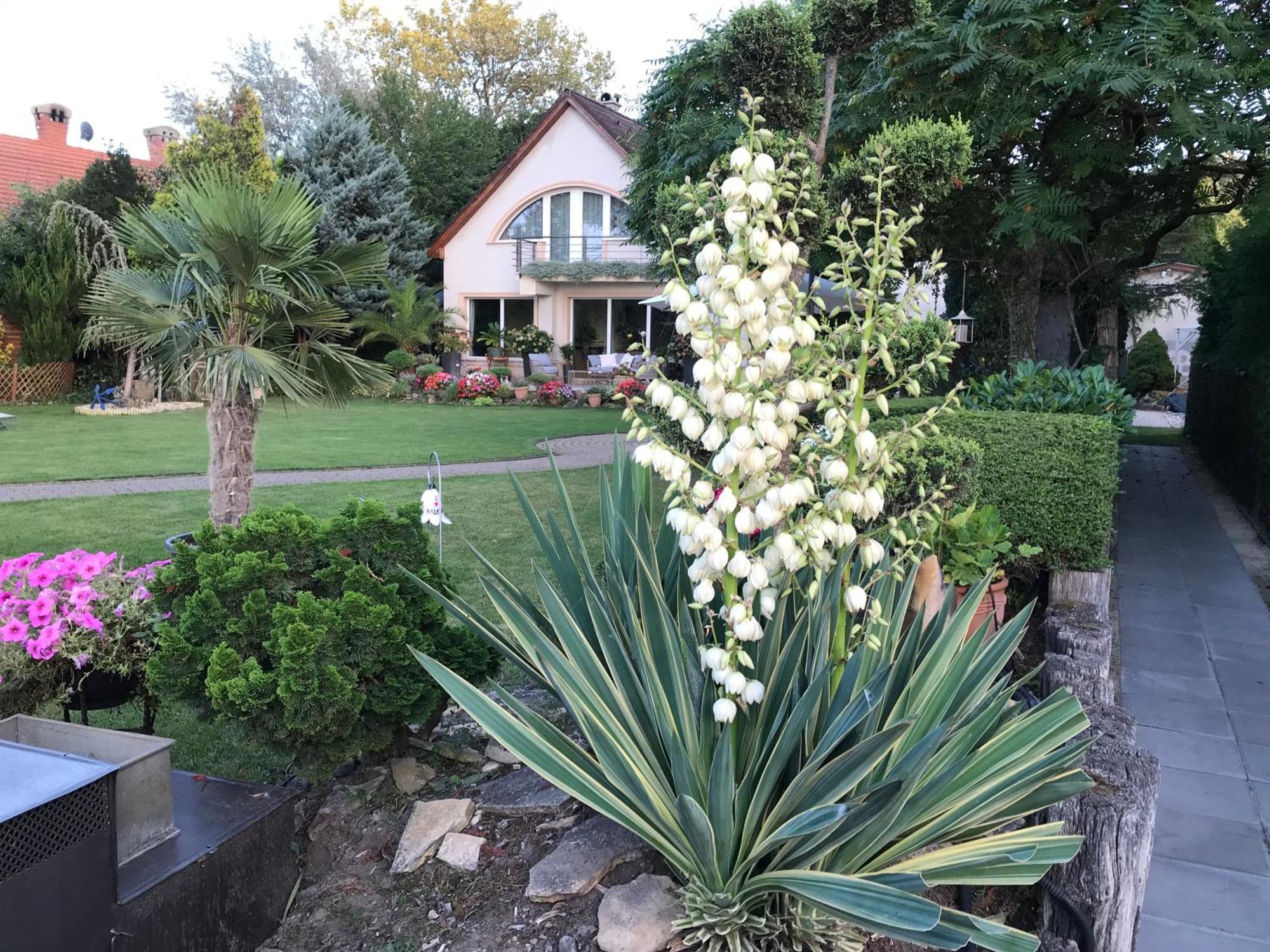 Viktoria House Villa Balatonszarszo Exterior foto